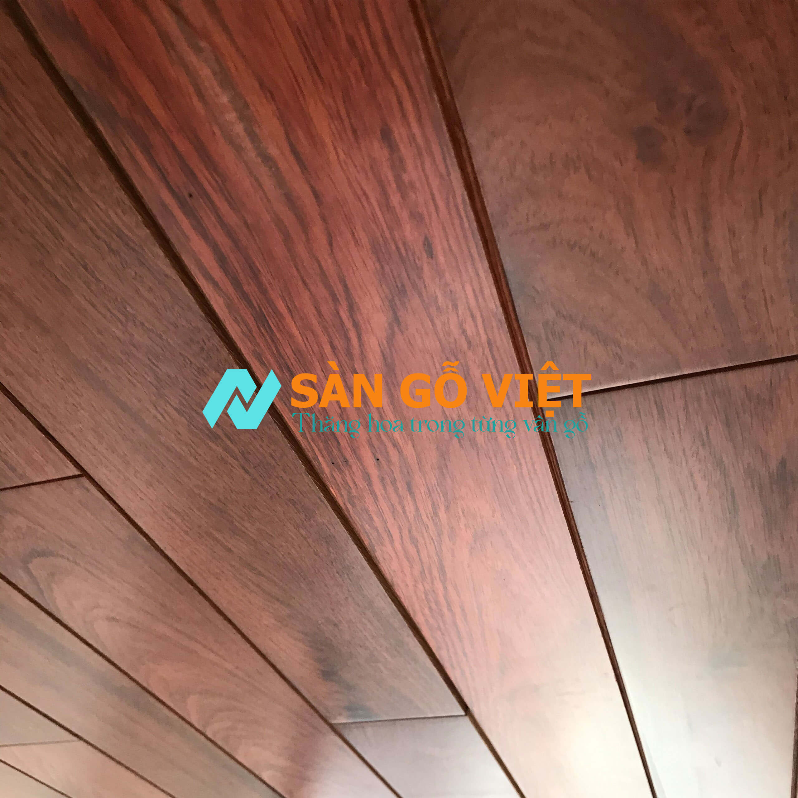 Sản phẩm 5